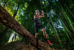 BIB: 
                            <button type="button" onclick="openModal(18987479)" class="btn btn-primary btn-sm float-right btn-popup" data-toggle="modal" data-target=".modal-high-quality">
                        <i class="fas fa-shopping-cart"></i> Add to Cart
                    </button>
                                            <button type="button" onclick="isThisMe(18987479, true)" class="btn btn-success btn-sm float-right btn-popup btn-isme hidden" data-toggle="tooltip" data-placement="bottom" title="นี่คือรูปของคุณใช่ไหม คลิกที่นี่เพื่อเอาเข้าอัลบั้ม">
                        <i class="fas fa-plus"></i> Add to album
                    </button>
                    <button type="button" onclick="isThisMe(18987479, false)" class="btn btn-warning btn-sm float-right btn-popup btn-isnotme hidden">
                        <i class="fas fa-ban"></i> Remove from album
                    </button>