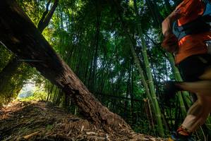 BIB: 
                            <button type="button" onclick="openModal(18986265)" class="btn btn-primary btn-sm float-right btn-popup" data-toggle="modal" data-target=".modal-high-quality">
                        <i class="fas fa-shopping-cart"></i> Add to Cart
                    </button>
                                            <button type="button" onclick="isThisMe(18986265, true)" class="btn btn-success btn-sm float-right btn-popup btn-isme hidden" data-toggle="tooltip" data-placement="bottom" title="นี่คือรูปของคุณใช่ไหม คลิกที่นี่เพื่อเอาเข้าอัลบั้ม">
                        <i class="fas fa-plus"></i> Add to album
                    </button>
                    <button type="button" onclick="isThisMe(18986265, false)" class="btn btn-warning btn-sm float-right btn-popup btn-isnotme hidden">
                        <i class="fas fa-ban"></i> Remove from album
                    </button>