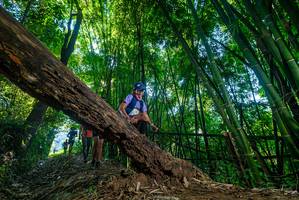 BIB: 
                            <button type="button" onclick="openModal(18993456)" class="btn btn-primary btn-sm float-right btn-popup" data-toggle="modal" data-target=".modal-high-quality">
                        <i class="fas fa-shopping-cart"></i> Add to Cart
                    </button>
                                            <button type="button" onclick="isThisMe(18993456, true)" class="btn btn-success btn-sm float-right btn-popup btn-isme hidden" data-toggle="tooltip" data-placement="bottom" title="นี่คือรูปของคุณใช่ไหม คลิกที่นี่เพื่อเอาเข้าอัลบั้ม">
                        <i class="fas fa-plus"></i> Add to album
                    </button>
                    <button type="button" onclick="isThisMe(18993456, false)" class="btn btn-warning btn-sm float-right btn-popup btn-isnotme hidden">
                        <i class="fas fa-ban"></i> Remove from album
                    </button>