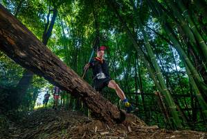 BIB: 
                            <button type="button" onclick="openModal(18995097)" class="btn btn-primary btn-sm float-right btn-popup" data-toggle="modal" data-target=".modal-high-quality">
                        <i class="fas fa-shopping-cart"></i> Add to Cart
                    </button>
                                            <button type="button" onclick="isThisMe(18995097, true)" class="btn btn-success btn-sm float-right btn-popup btn-isme hidden" data-toggle="tooltip" data-placement="bottom" title="นี่คือรูปของคุณใช่ไหม คลิกที่นี่เพื่อเอาเข้าอัลบั้ม">
                        <i class="fas fa-plus"></i> Add to album
                    </button>
                    <button type="button" onclick="isThisMe(18995097, false)" class="btn btn-warning btn-sm float-right btn-popup btn-isnotme hidden">
                        <i class="fas fa-ban"></i> Remove from album
                    </button>