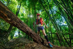 BIB: 
                            <button type="button" onclick="openModal(19057186)" class="btn btn-primary btn-sm float-right btn-popup" data-toggle="modal" data-target=".modal-high-quality">
                        <i class="fas fa-shopping-cart"></i> Add to Cart
                    </button>
                                            <button type="button" onclick="isThisMe(19057186, true)" class="btn btn-success btn-sm float-right btn-popup btn-isme hidden" data-toggle="tooltip" data-placement="bottom" title="นี่คือรูปของคุณใช่ไหม คลิกที่นี่เพื่อเอาเข้าอัลบั้ม">
                        <i class="fas fa-plus"></i> Add to album
                    </button>
                    <button type="button" onclick="isThisMe(19057186, false)" class="btn btn-warning btn-sm float-right btn-popup btn-isnotme hidden">
                        <i class="fas fa-ban"></i> Remove from album
                    </button>