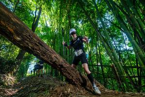 BIB: 
                            <button type="button" onclick="openModal(19001842)" class="btn btn-primary btn-sm float-right btn-popup" data-toggle="modal" data-target=".modal-high-quality">
                        <i class="fas fa-shopping-cart"></i> Add to Cart
                    </button>
                                            <button type="button" onclick="isThisMe(19001842, true)" class="btn btn-success btn-sm float-right btn-popup btn-isme hidden" data-toggle="tooltip" data-placement="bottom" title="นี่คือรูปของคุณใช่ไหม คลิกที่นี่เพื่อเอาเข้าอัลบั้ม">
                        <i class="fas fa-plus"></i> Add to album
                    </button>
                    <button type="button" onclick="isThisMe(19001842, false)" class="btn btn-warning btn-sm float-right btn-popup btn-isnotme hidden">
                        <i class="fas fa-ban"></i> Remove from album
                    </button>