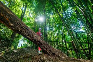 BIB: 
                            <button type="button" onclick="openModal(19063678)" class="btn btn-primary btn-sm float-right btn-popup" data-toggle="modal" data-target=".modal-high-quality">
                        <i class="fas fa-shopping-cart"></i> Add to Cart
                    </button>
                                            <button type="button" onclick="isThisMe(19063678, true)" class="btn btn-success btn-sm float-right btn-popup btn-isme hidden" data-toggle="tooltip" data-placement="bottom" title="นี่คือรูปของคุณใช่ไหม คลิกที่นี่เพื่อเอาเข้าอัลบั้ม">
                        <i class="fas fa-plus"></i> Add to album
                    </button>
                    <button type="button" onclick="isThisMe(19063678, false)" class="btn btn-warning btn-sm float-right btn-popup btn-isnotme hidden">
                        <i class="fas fa-ban"></i> Remove from album
                    </button>