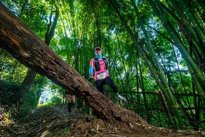 BIB: 
                            <button type="button" onclick="openModal(18998176)" class="btn btn-primary btn-sm float-right btn-popup" data-toggle="modal" data-target=".modal-high-quality">
                        <i class="fas fa-shopping-cart"></i> Add to Cart
                    </button>
                                            <button type="button" onclick="isThisMe(18998176, true)" class="btn btn-success btn-sm float-right btn-popup btn-isme hidden" data-toggle="tooltip" data-placement="bottom" title="นี่คือรูปของคุณใช่ไหม คลิกที่นี่เพื่อเอาเข้าอัลบั้ม">
                        <i class="fas fa-plus"></i> Add to album
                    </button>
                    <button type="button" onclick="isThisMe(18998176, false)" class="btn btn-warning btn-sm float-right btn-popup btn-isnotme hidden">
                        <i class="fas fa-ban"></i> Remove from album
                    </button>