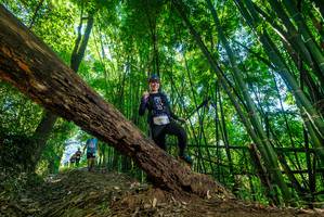 BIB: 
                            <button type="button" onclick="openModal(19061228)" class="btn btn-primary btn-sm float-right btn-popup" data-toggle="modal" data-target=".modal-high-quality">
                        <i class="fas fa-shopping-cart"></i> Add to Cart
                    </button>
                                            <button type="button" onclick="isThisMe(19061228, true)" class="btn btn-success btn-sm float-right btn-popup btn-isme hidden" data-toggle="tooltip" data-placement="bottom" title="นี่คือรูปของคุณใช่ไหม คลิกที่นี่เพื่อเอาเข้าอัลบั้ม">
                        <i class="fas fa-plus"></i> Add to album
                    </button>
                    <button type="button" onclick="isThisMe(19061228, false)" class="btn btn-warning btn-sm float-right btn-popup btn-isnotme hidden">
                        <i class="fas fa-ban"></i> Remove from album
                    </button>