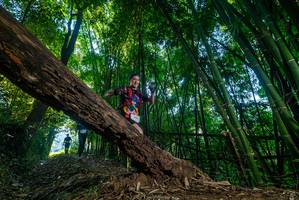 BIB: 
                            <button type="button" onclick="openModal(18998732)" class="btn btn-primary btn-sm float-right btn-popup" data-toggle="modal" data-target=".modal-high-quality">
                        <i class="fas fa-shopping-cart"></i> Add to Cart
                    </button>
                                            <button type="button" onclick="isThisMe(18998732, true)" class="btn btn-success btn-sm float-right btn-popup btn-isme hidden" data-toggle="tooltip" data-placement="bottom" title="นี่คือรูปของคุณใช่ไหม คลิกที่นี่เพื่อเอาเข้าอัลบั้ม">
                        <i class="fas fa-plus"></i> Add to album
                    </button>
                    <button type="button" onclick="isThisMe(18998732, false)" class="btn btn-warning btn-sm float-right btn-popup btn-isnotme hidden">
                        <i class="fas fa-ban"></i> Remove from album
                    </button>