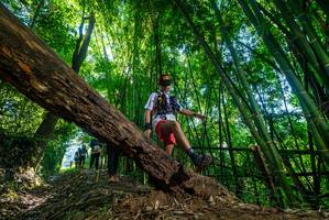 BIB: 
                            <button type="button" onclick="openModal(19047492)" class="btn btn-primary btn-sm float-right btn-popup" data-toggle="modal" data-target=".modal-high-quality">
                        <i class="fas fa-shopping-cart"></i> Add to Cart
                    </button>
                                            <button type="button" onclick="isThisMe(19047492, true)" class="btn btn-success btn-sm float-right btn-popup btn-isme hidden" data-toggle="tooltip" data-placement="bottom" title="นี่คือรูปของคุณใช่ไหม คลิกที่นี่เพื่อเอาเข้าอัลบั้ม">
                        <i class="fas fa-plus"></i> Add to album
                    </button>
                    <button type="button" onclick="isThisMe(19047492, false)" class="btn btn-warning btn-sm float-right btn-popup btn-isnotme hidden">
                        <i class="fas fa-ban"></i> Remove from album
                    </button>