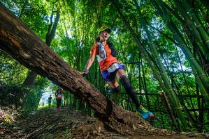 BIB: 
                            <button type="button" onclick="openModal(18999877)" class="btn btn-primary btn-sm float-right btn-popup" data-toggle="modal" data-target=".modal-high-quality">
                        <i class="fas fa-shopping-cart"></i> Add to Cart
                    </button>
                                            <button type="button" onclick="isThisMe(18999877, true)" class="btn btn-success btn-sm float-right btn-popup btn-isme hidden" data-toggle="tooltip" data-placement="bottom" title="นี่คือรูปของคุณใช่ไหม คลิกที่นี่เพื่อเอาเข้าอัลบั้ม">
                        <i class="fas fa-plus"></i> Add to album
                    </button>
                    <button type="button" onclick="isThisMe(18999877, false)" class="btn btn-warning btn-sm float-right btn-popup btn-isnotme hidden">
                        <i class="fas fa-ban"></i> Remove from album
                    </button>