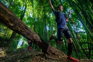 BIB: 
                            <button type="button" onclick="openModal(18998645)" class="btn btn-primary btn-sm float-right btn-popup" data-toggle="modal" data-target=".modal-high-quality">
                        <i class="fas fa-shopping-cart"></i> Add to Cart
                    </button>
                                            <button type="button" onclick="isThisMe(18998645, true)" class="btn btn-success btn-sm float-right btn-popup btn-isme hidden" data-toggle="tooltip" data-placement="bottom" title="นี่คือรูปของคุณใช่ไหม คลิกที่นี่เพื่อเอาเข้าอัลบั้ม">
                        <i class="fas fa-plus"></i> Add to album
                    </button>
                    <button type="button" onclick="isThisMe(18998645, false)" class="btn btn-warning btn-sm float-right btn-popup btn-isnotme hidden">
                        <i class="fas fa-ban"></i> Remove from album
                    </button>