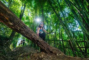 BIB: 
                            <button type="button" onclick="openModal(19056744)" class="btn btn-primary btn-sm float-right btn-popup" data-toggle="modal" data-target=".modal-high-quality">
                        <i class="fas fa-shopping-cart"></i> Add to Cart
                    </button>
                                            <button type="button" onclick="isThisMe(19056744, true)" class="btn btn-success btn-sm float-right btn-popup btn-isme hidden" data-toggle="tooltip" data-placement="bottom" title="นี่คือรูปของคุณใช่ไหม คลิกที่นี่เพื่อเอาเข้าอัลบั้ม">
                        <i class="fas fa-plus"></i> Add to album
                    </button>
                    <button type="button" onclick="isThisMe(19056744, false)" class="btn btn-warning btn-sm float-right btn-popup btn-isnotme hidden">
                        <i class="fas fa-ban"></i> Remove from album
                    </button>