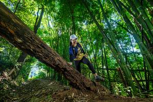 BIB: 
                            <button type="button" onclick="openModal(19066190)" class="btn btn-primary btn-sm float-right btn-popup" data-toggle="modal" data-target=".modal-high-quality">
                        <i class="fas fa-shopping-cart"></i> Add to Cart
                    </button>
                                            <button type="button" onclick="isThisMe(19066190, true)" class="btn btn-success btn-sm float-right btn-popup btn-isme hidden" data-toggle="tooltip" data-placement="bottom" title="นี่คือรูปของคุณใช่ไหม คลิกที่นี่เพื่อเอาเข้าอัลบั้ม">
                        <i class="fas fa-plus"></i> Add to album
                    </button>
                    <button type="button" onclick="isThisMe(19066190, false)" class="btn btn-warning btn-sm float-right btn-popup btn-isnotme hidden">
                        <i class="fas fa-ban"></i> Remove from album
                    </button>