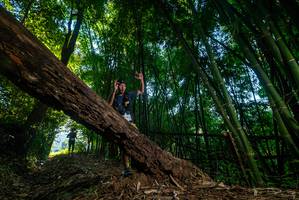 BIB: 
                            <button type="button" onclick="openModal(18990115)" class="btn btn-primary btn-sm float-right btn-popup" data-toggle="modal" data-target=".modal-high-quality">
                        <i class="fas fa-shopping-cart"></i> Add to Cart
                    </button>
                                            <button type="button" onclick="isThisMe(18990115, true)" class="btn btn-success btn-sm float-right btn-popup btn-isme hidden" data-toggle="tooltip" data-placement="bottom" title="นี่คือรูปของคุณใช่ไหม คลิกที่นี่เพื่อเอาเข้าอัลบั้ม">
                        <i class="fas fa-plus"></i> Add to album
                    </button>
                    <button type="button" onclick="isThisMe(18990115, false)" class="btn btn-warning btn-sm float-right btn-popup btn-isnotme hidden">
                        <i class="fas fa-ban"></i> Remove from album
                    </button>