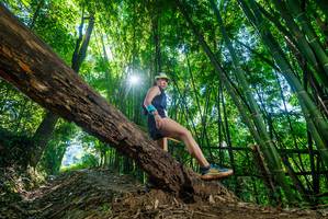 BIB: 
                            <button type="button" onclick="openModal(19055012)" class="btn btn-primary btn-sm float-right btn-popup" data-toggle="modal" data-target=".modal-high-quality">
                        <i class="fas fa-shopping-cart"></i> Add to Cart
                    </button>
                                            <button type="button" onclick="isThisMe(19055012, true)" class="btn btn-success btn-sm float-right btn-popup btn-isme hidden" data-toggle="tooltip" data-placement="bottom" title="นี่คือรูปของคุณใช่ไหม คลิกที่นี่เพื่อเอาเข้าอัลบั้ม">
                        <i class="fas fa-plus"></i> Add to album
                    </button>
                    <button type="button" onclick="isThisMe(19055012, false)" class="btn btn-warning btn-sm float-right btn-popup btn-isnotme hidden">
                        <i class="fas fa-ban"></i> Remove from album
                    </button>