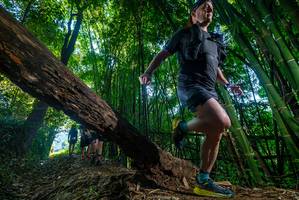 BIB: 
                            <button type="button" onclick="openModal(18990555)" class="btn btn-primary btn-sm float-right btn-popup" data-toggle="modal" data-target=".modal-high-quality">
                        <i class="fas fa-shopping-cart"></i> Add to Cart
                    </button>
                                            <button type="button" onclick="isThisMe(18990555, true)" class="btn btn-success btn-sm float-right btn-popup btn-isme hidden" data-toggle="tooltip" data-placement="bottom" title="นี่คือรูปของคุณใช่ไหม คลิกที่นี่เพื่อเอาเข้าอัลบั้ม">
                        <i class="fas fa-plus"></i> Add to album
                    </button>
                    <button type="button" onclick="isThisMe(18990555, false)" class="btn btn-warning btn-sm float-right btn-popup btn-isnotme hidden">
                        <i class="fas fa-ban"></i> Remove from album
                    </button>