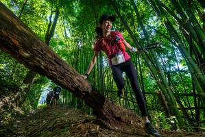 BIB: 2009
                            <button type="button" onclick="openModal(19065676)" class="btn btn-primary btn-sm float-right btn-popup" data-toggle="modal" data-target=".modal-high-quality">
                        <i class="fas fa-shopping-cart"></i> Add to Cart
                    </button>
                                            <button type="button" onclick="isThisMe(19065676, true)" class="btn btn-success btn-sm float-right btn-popup btn-isme hidden" data-toggle="tooltip" data-placement="bottom" title="นี่คือรูปของคุณใช่ไหม คลิกที่นี่เพื่อเอาเข้าอัลบั้ม">
                        <i class="fas fa-plus"></i> Add to album
                    </button>
                    <button type="button" onclick="isThisMe(19065676, false)" class="btn btn-warning btn-sm float-right btn-popup btn-isnotme hidden">
                        <i class="fas fa-ban"></i> Remove from album
                    </button>