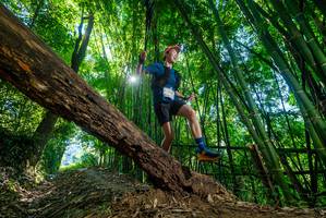 BIB: 
                            <button type="button" onclick="openModal(19054683)" class="btn btn-primary btn-sm float-right btn-popup" data-toggle="modal" data-target=".modal-high-quality">
                        <i class="fas fa-shopping-cart"></i> Add to Cart
                    </button>
                                            <button type="button" onclick="isThisMe(19054683, true)" class="btn btn-success btn-sm float-right btn-popup btn-isme hidden" data-toggle="tooltip" data-placement="bottom" title="นี่คือรูปของคุณใช่ไหม คลิกที่นี่เพื่อเอาเข้าอัลบั้ม">
                        <i class="fas fa-plus"></i> Add to album
                    </button>
                    <button type="button" onclick="isThisMe(19054683, false)" class="btn btn-warning btn-sm float-right btn-popup btn-isnotme hidden">
                        <i class="fas fa-ban"></i> Remove from album
                    </button>