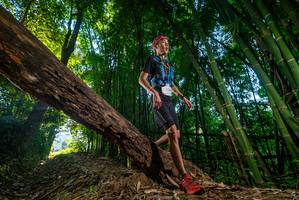 BIB: 
                            <button type="button" onclick="openModal(18987956)" class="btn btn-primary btn-sm float-right btn-popup" data-toggle="modal" data-target=".modal-high-quality">
                        <i class="fas fa-shopping-cart"></i> Add to Cart
                    </button>
                                            <button type="button" onclick="isThisMe(18987956, true)" class="btn btn-success btn-sm float-right btn-popup btn-isme hidden" data-toggle="tooltip" data-placement="bottom" title="นี่คือรูปของคุณใช่ไหม คลิกที่นี่เพื่อเอาเข้าอัลบั้ม">
                        <i class="fas fa-plus"></i> Add to album
                    </button>
                    <button type="button" onclick="isThisMe(18987956, false)" class="btn btn-warning btn-sm float-right btn-popup btn-isnotme hidden">
                        <i class="fas fa-ban"></i> Remove from album
                    </button>