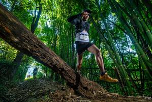 BIB: 2936
                            <button type="button" onclick="openModal(18999052)" class="btn btn-primary btn-sm float-right btn-popup" data-toggle="modal" data-target=".modal-high-quality">
                        <i class="fas fa-shopping-cart"></i> Add to Cart
                    </button>
                                            <button type="button" onclick="isThisMe(18999052, true)" class="btn btn-success btn-sm float-right btn-popup btn-isme hidden" data-toggle="tooltip" data-placement="bottom" title="นี่คือรูปของคุณใช่ไหม คลิกที่นี่เพื่อเอาเข้าอัลบั้ม">
                        <i class="fas fa-plus"></i> Add to album
                    </button>
                    <button type="button" onclick="isThisMe(18999052, false)" class="btn btn-warning btn-sm float-right btn-popup btn-isnotme hidden">
                        <i class="fas fa-ban"></i> Remove from album
                    </button>