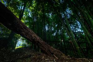 BIB: 
                            <button type="button" onclick="openModal(18990799)" class="btn btn-primary btn-sm float-right btn-popup" data-toggle="modal" data-target=".modal-high-quality">
                        <i class="fas fa-shopping-cart"></i> Add to Cart
                    </button>
                                            <button type="button" onclick="isThisMe(18990799, true)" class="btn btn-success btn-sm float-right btn-popup btn-isme hidden" data-toggle="tooltip" data-placement="bottom" title="นี่คือรูปของคุณใช่ไหม คลิกที่นี่เพื่อเอาเข้าอัลบั้ม">
                        <i class="fas fa-plus"></i> Add to album
                    </button>
                    <button type="button" onclick="isThisMe(18990799, false)" class="btn btn-warning btn-sm float-right btn-popup btn-isnotme hidden">
                        <i class="fas fa-ban"></i> Remove from album
                    </button>