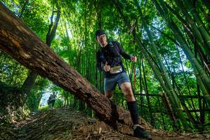 BIB: 2004
                            <button type="button" onclick="openModal(19055229)" class="btn btn-primary btn-sm float-right btn-popup" data-toggle="modal" data-target=".modal-high-quality">
                        <i class="fas fa-shopping-cart"></i> Add to Cart
                    </button>
                                            <button type="button" onclick="isThisMe(19055229, true)" class="btn btn-success btn-sm float-right btn-popup btn-isme hidden" data-toggle="tooltip" data-placement="bottom" title="นี่คือรูปของคุณใช่ไหม คลิกที่นี่เพื่อเอาเข้าอัลบั้ม">
                        <i class="fas fa-plus"></i> Add to album
                    </button>
                    <button type="button" onclick="isThisMe(19055229, false)" class="btn btn-warning btn-sm float-right btn-popup btn-isnotme hidden">
                        <i class="fas fa-ban"></i> Remove from album
                    </button>