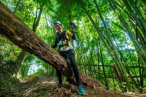 BIB: 1170
                            <button type="button" onclick="openModal(19071408)" class="btn btn-primary btn-sm float-right btn-popup" data-toggle="modal" data-target=".modal-high-quality">
                        <i class="fas fa-shopping-cart"></i> Add to Cart
                    </button>
                                            <button type="button" onclick="isThisMe(19071408, true)" class="btn btn-success btn-sm float-right btn-popup btn-isme hidden" data-toggle="tooltip" data-placement="bottom" title="นี่คือรูปของคุณใช่ไหม คลิกที่นี่เพื่อเอาเข้าอัลบั้ม">
                        <i class="fas fa-plus"></i> Add to album
                    </button>
                    <button type="button" onclick="isThisMe(19071408, false)" class="btn btn-warning btn-sm float-right btn-popup btn-isnotme hidden">
                        <i class="fas fa-ban"></i> Remove from album
                    </button>