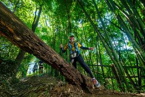 BIB: 
                            <button type="button" onclick="openModal(19061626)" class="btn btn-primary btn-sm float-right btn-popup" data-toggle="modal" data-target=".modal-high-quality">
                        <i class="fas fa-shopping-cart"></i> Add to Cart
                    </button>
                                            <button type="button" onclick="isThisMe(19061626, true)" class="btn btn-success btn-sm float-right btn-popup btn-isme hidden" data-toggle="tooltip" data-placement="bottom" title="นี่คือรูปของคุณใช่ไหม คลิกที่นี่เพื่อเอาเข้าอัลบั้ม">
                        <i class="fas fa-plus"></i> Add to album
                    </button>
                    <button type="button" onclick="isThisMe(19061626, false)" class="btn btn-warning btn-sm float-right btn-popup btn-isnotme hidden">
                        <i class="fas fa-ban"></i> Remove from album
                    </button>