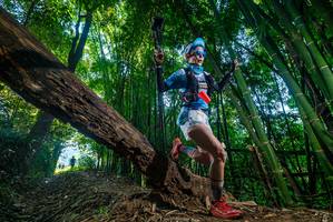 BIB: 
                            <button type="button" onclick="openModal(18987889)" class="btn btn-primary btn-sm float-right btn-popup" data-toggle="modal" data-target=".modal-high-quality">
                        <i class="fas fa-shopping-cart"></i> Add to Cart
                    </button>
                                            <button type="button" onclick="isThisMe(18987889, true)" class="btn btn-success btn-sm float-right btn-popup btn-isme hidden" data-toggle="tooltip" data-placement="bottom" title="นี่คือรูปของคุณใช่ไหม คลิกที่นี่เพื่อเอาเข้าอัลบั้ม">
                        <i class="fas fa-plus"></i> Add to album
                    </button>
                    <button type="button" onclick="isThisMe(18987889, false)" class="btn btn-warning btn-sm float-right btn-popup btn-isnotme hidden">
                        <i class="fas fa-ban"></i> Remove from album
                    </button>