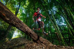 BIB: 
                            <button type="button" onclick="openModal(18989871)" class="btn btn-primary btn-sm float-right btn-popup" data-toggle="modal" data-target=".modal-high-quality">
                        <i class="fas fa-shopping-cart"></i> Add to Cart
                    </button>
                                            <button type="button" onclick="isThisMe(18989871, true)" class="btn btn-success btn-sm float-right btn-popup btn-isme hidden" data-toggle="tooltip" data-placement="bottom" title="นี่คือรูปของคุณใช่ไหม คลิกที่นี่เพื่อเอาเข้าอัลบั้ม">
                        <i class="fas fa-plus"></i> Add to album
                    </button>
                    <button type="button" onclick="isThisMe(18989871, false)" class="btn btn-warning btn-sm float-right btn-popup btn-isnotme hidden">
                        <i class="fas fa-ban"></i> Remove from album
                    </button>