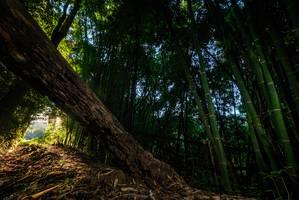 BIB: 
                            <button type="button" onclick="openModal(18986074)" class="btn btn-primary btn-sm float-right btn-popup" data-toggle="modal" data-target=".modal-high-quality">
                        <i class="fas fa-shopping-cart"></i> Add to Cart
                    </button>
                                            <button type="button" onclick="isThisMe(18986074, true)" class="btn btn-success btn-sm float-right btn-popup btn-isme hidden" data-toggle="tooltip" data-placement="bottom" title="นี่คือรูปของคุณใช่ไหม คลิกที่นี่เพื่อเอาเข้าอัลบั้ม">
                        <i class="fas fa-plus"></i> Add to album
                    </button>
                    <button type="button" onclick="isThisMe(18986074, false)" class="btn btn-warning btn-sm float-right btn-popup btn-isnotme hidden">
                        <i class="fas fa-ban"></i> Remove from album
                    </button>