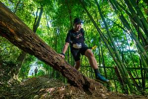 BIB: 
                            <button type="button" onclick="openModal(19069748)" class="btn btn-primary btn-sm float-right btn-popup" data-toggle="modal" data-target=".modal-high-quality">
                        <i class="fas fa-shopping-cart"></i> Add to Cart
                    </button>
                                            <button type="button" onclick="isThisMe(19069748, true)" class="btn btn-success btn-sm float-right btn-popup btn-isme hidden" data-toggle="tooltip" data-placement="bottom" title="นี่คือรูปของคุณใช่ไหม คลิกที่นี่เพื่อเอาเข้าอัลบั้ม">
                        <i class="fas fa-plus"></i> Add to album
                    </button>
                    <button type="button" onclick="isThisMe(19069748, false)" class="btn btn-warning btn-sm float-right btn-popup btn-isnotme hidden">
                        <i class="fas fa-ban"></i> Remove from album
                    </button>