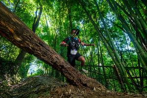 BIB: 2747
                            <button type="button" onclick="openModal(19055314)" class="btn btn-primary btn-sm float-right btn-popup" data-toggle="modal" data-target=".modal-high-quality">
                        <i class="fas fa-shopping-cart"></i> Add to Cart
                    </button>
                                            <button type="button" onclick="isThisMe(19055314, true)" class="btn btn-success btn-sm float-right btn-popup btn-isme hidden" data-toggle="tooltip" data-placement="bottom" title="นี่คือรูปของคุณใช่ไหม คลิกที่นี่เพื่อเอาเข้าอัลบั้ม">
                        <i class="fas fa-plus"></i> Add to album
                    </button>
                    <button type="button" onclick="isThisMe(19055314, false)" class="btn btn-warning btn-sm float-right btn-popup btn-isnotme hidden">
                        <i class="fas fa-ban"></i> Remove from album
                    </button>