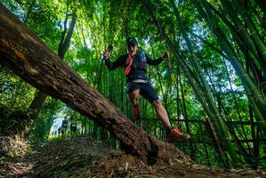 BIB: 
                            <button type="button" onclick="openModal(19001941)" class="btn btn-primary btn-sm float-right btn-popup" data-toggle="modal" data-target=".modal-high-quality">
                        <i class="fas fa-shopping-cart"></i> Add to Cart
                    </button>
                                            <button type="button" onclick="isThisMe(19001941, true)" class="btn btn-success btn-sm float-right btn-popup btn-isme hidden" data-toggle="tooltip" data-placement="bottom" title="นี่คือรูปของคุณใช่ไหม คลิกที่นี่เพื่อเอาเข้าอัลบั้ม">
                        <i class="fas fa-plus"></i> Add to album
                    </button>
                    <button type="button" onclick="isThisMe(19001941, false)" class="btn btn-warning btn-sm float-right btn-popup btn-isnotme hidden">
                        <i class="fas fa-ban"></i> Remove from album
                    </button>