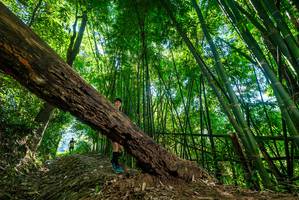 BIB: 
                            <button type="button" onclick="openModal(19069058)" class="btn btn-primary btn-sm float-right btn-popup" data-toggle="modal" data-target=".modal-high-quality">
                        <i class="fas fa-shopping-cart"></i> Add to Cart
                    </button>
                                            <button type="button" onclick="isThisMe(19069058, true)" class="btn btn-success btn-sm float-right btn-popup btn-isme hidden" data-toggle="tooltip" data-placement="bottom" title="นี่คือรูปของคุณใช่ไหม คลิกที่นี่เพื่อเอาเข้าอัลบั้ม">
                        <i class="fas fa-plus"></i> Add to album
                    </button>
                    <button type="button" onclick="isThisMe(19069058, false)" class="btn btn-warning btn-sm float-right btn-popup btn-isnotme hidden">
                        <i class="fas fa-ban"></i> Remove from album
                    </button>