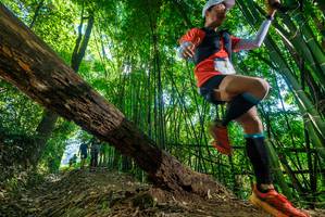 BIB: 
                            <button type="button" onclick="openModal(19062777)" class="btn btn-primary btn-sm float-right btn-popup" data-toggle="modal" data-target=".modal-high-quality">
                        <i class="fas fa-shopping-cart"></i> Add to Cart
                    </button>
                                            <button type="button" onclick="isThisMe(19062777, true)" class="btn btn-success btn-sm float-right btn-popup btn-isme hidden" data-toggle="tooltip" data-placement="bottom" title="นี่คือรูปของคุณใช่ไหม คลิกที่นี่เพื่อเอาเข้าอัลบั้ม">
                        <i class="fas fa-plus"></i> Add to album
                    </button>
                    <button type="button" onclick="isThisMe(19062777, false)" class="btn btn-warning btn-sm float-right btn-popup btn-isnotme hidden">
                        <i class="fas fa-ban"></i> Remove from album
                    </button>