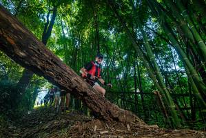 BIB: 
                            <button type="button" onclick="openModal(18997666)" class="btn btn-primary btn-sm float-right btn-popup" data-toggle="modal" data-target=".modal-high-quality">
                        <i class="fas fa-shopping-cart"></i> Add to Cart
                    </button>
                                            <button type="button" onclick="isThisMe(18997666, true)" class="btn btn-success btn-sm float-right btn-popup btn-isme hidden" data-toggle="tooltip" data-placement="bottom" title="นี่คือรูปของคุณใช่ไหม คลิกที่นี่เพื่อเอาเข้าอัลบั้ม">
                        <i class="fas fa-plus"></i> Add to album
                    </button>
                    <button type="button" onclick="isThisMe(18997666, false)" class="btn btn-warning btn-sm float-right btn-popup btn-isnotme hidden">
                        <i class="fas fa-ban"></i> Remove from album
                    </button>