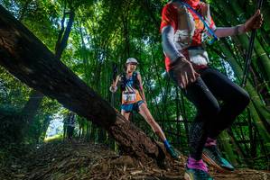 BIB: 
                            <button type="button" onclick="openModal(18996532)" class="btn btn-primary btn-sm float-right btn-popup" data-toggle="modal" data-target=".modal-high-quality">
                        <i class="fas fa-shopping-cart"></i> Add to Cart
                    </button>
                                            <button type="button" onclick="isThisMe(18996532, true)" class="btn btn-success btn-sm float-right btn-popup btn-isme hidden" data-toggle="tooltip" data-placement="bottom" title="นี่คือรูปของคุณใช่ไหม คลิกที่นี่เพื่อเอาเข้าอัลบั้ม">
                        <i class="fas fa-plus"></i> Add to album
                    </button>
                    <button type="button" onclick="isThisMe(18996532, false)" class="btn btn-warning btn-sm float-right btn-popup btn-isnotme hidden">
                        <i class="fas fa-ban"></i> Remove from album
                    </button>