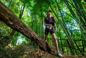 BIB: 
                            <button type="button" onclick="openModal(19070223)" class="btn btn-primary btn-sm float-right btn-popup" data-toggle="modal" data-target=".modal-high-quality">
                        <i class="fas fa-shopping-cart"></i> Add to Cart
                    </button>
                                            <button type="button" onclick="isThisMe(19070223, true)" class="btn btn-success btn-sm float-right btn-popup btn-isme hidden" data-toggle="tooltip" data-placement="bottom" title="นี่คือรูปของคุณใช่ไหม คลิกที่นี่เพื่อเอาเข้าอัลบั้ม">
                        <i class="fas fa-plus"></i> Add to album
                    </button>
                    <button type="button" onclick="isThisMe(19070223, false)" class="btn btn-warning btn-sm float-right btn-popup btn-isnotme hidden">
                        <i class="fas fa-ban"></i> Remove from album
                    </button>