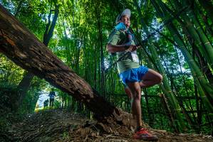 BIB: 
                            <button type="button" onclick="openModal(18999020)" class="btn btn-primary btn-sm float-right btn-popup" data-toggle="modal" data-target=".modal-high-quality">
                        <i class="fas fa-shopping-cart"></i> Add to Cart
                    </button>
                                            <button type="button" onclick="isThisMe(18999020, true)" class="btn btn-success btn-sm float-right btn-popup btn-isme hidden" data-toggle="tooltip" data-placement="bottom" title="นี่คือรูปของคุณใช่ไหม คลิกที่นี่เพื่อเอาเข้าอัลบั้ม">
                        <i class="fas fa-plus"></i> Add to album
                    </button>
                    <button type="button" onclick="isThisMe(18999020, false)" class="btn btn-warning btn-sm float-right btn-popup btn-isnotme hidden">
                        <i class="fas fa-ban"></i> Remove from album
                    </button>