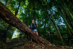 BIB: 
                            <button type="button" onclick="openModal(18989962)" class="btn btn-primary btn-sm float-right btn-popup" data-toggle="modal" data-target=".modal-high-quality">
                        <i class="fas fa-shopping-cart"></i> Add to Cart
                    </button>
                                            <button type="button" onclick="isThisMe(18989962, true)" class="btn btn-success btn-sm float-right btn-popup btn-isme hidden" data-toggle="tooltip" data-placement="bottom" title="นี่คือรูปของคุณใช่ไหม คลิกที่นี่เพื่อเอาเข้าอัลบั้ม">
                        <i class="fas fa-plus"></i> Add to album
                    </button>
                    <button type="button" onclick="isThisMe(18989962, false)" class="btn btn-warning btn-sm float-right btn-popup btn-isnotme hidden">
                        <i class="fas fa-ban"></i> Remove from album
                    </button>