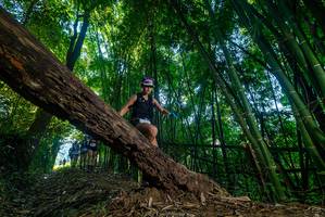 BIB: 
                            <button type="button" onclick="openModal(18998170)" class="btn btn-primary btn-sm float-right btn-popup" data-toggle="modal" data-target=".modal-high-quality">
                        <i class="fas fa-shopping-cart"></i> Add to Cart
                    </button>
                                            <button type="button" onclick="isThisMe(18998170, true)" class="btn btn-success btn-sm float-right btn-popup btn-isme hidden" data-toggle="tooltip" data-placement="bottom" title="นี่คือรูปของคุณใช่ไหม คลิกที่นี่เพื่อเอาเข้าอัลบั้ม">
                        <i class="fas fa-plus"></i> Add to album
                    </button>
                    <button type="button" onclick="isThisMe(18998170, false)" class="btn btn-warning btn-sm float-right btn-popup btn-isnotme hidden">
                        <i class="fas fa-ban"></i> Remove from album
                    </button>