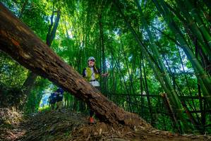 BIB: 
                            <button type="button" onclick="openModal(19001575)" class="btn btn-primary btn-sm float-right btn-popup" data-toggle="modal" data-target=".modal-high-quality">
                        <i class="fas fa-shopping-cart"></i> Add to Cart
                    </button>
                                            <button type="button" onclick="isThisMe(19001575, true)" class="btn btn-success btn-sm float-right btn-popup btn-isme hidden" data-toggle="tooltip" data-placement="bottom" title="นี่คือรูปของคุณใช่ไหม คลิกที่นี่เพื่อเอาเข้าอัลบั้ม">
                        <i class="fas fa-plus"></i> Add to album
                    </button>
                    <button type="button" onclick="isThisMe(19001575, false)" class="btn btn-warning btn-sm float-right btn-popup btn-isnotme hidden">
                        <i class="fas fa-ban"></i> Remove from album
                    </button>