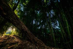 BIB: 
                            <button type="button" onclick="openModal(18986069)" class="btn btn-primary btn-sm float-right btn-popup" data-toggle="modal" data-target=".modal-high-quality">
                        <i class="fas fa-shopping-cart"></i> Add to Cart
                    </button>
                                            <button type="button" onclick="isThisMe(18986069, true)" class="btn btn-success btn-sm float-right btn-popup btn-isme hidden" data-toggle="tooltip" data-placement="bottom" title="นี่คือรูปของคุณใช่ไหม คลิกที่นี่เพื่อเอาเข้าอัลบั้ม">
                        <i class="fas fa-plus"></i> Add to album
                    </button>
                    <button type="button" onclick="isThisMe(18986069, false)" class="btn btn-warning btn-sm float-right btn-popup btn-isnotme hidden">
                        <i class="fas fa-ban"></i> Remove from album
                    </button>