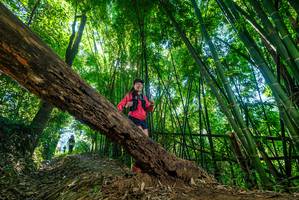 BIB: 
                            <button type="button" onclick="openModal(19056061)" class="btn btn-primary btn-sm float-right btn-popup" data-toggle="modal" data-target=".modal-high-quality">
                        <i class="fas fa-shopping-cart"></i> Add to Cart
                    </button>
                                            <button type="button" onclick="isThisMe(19056061, true)" class="btn btn-success btn-sm float-right btn-popup btn-isme hidden" data-toggle="tooltip" data-placement="bottom" title="นี่คือรูปของคุณใช่ไหม คลิกที่นี่เพื่อเอาเข้าอัลบั้ม">
                        <i class="fas fa-plus"></i> Add to album
                    </button>
                    <button type="button" onclick="isThisMe(19056061, false)" class="btn btn-warning btn-sm float-right btn-popup btn-isnotme hidden">
                        <i class="fas fa-ban"></i> Remove from album
                    </button>