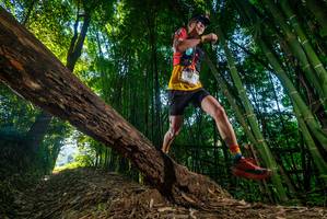 BIB: 
                            <button type="button" onclick="openModal(18987804)" class="btn btn-primary btn-sm float-right btn-popup" data-toggle="modal" data-target=".modal-high-quality">
                        <i class="fas fa-shopping-cart"></i> Add to Cart
                    </button>
                                            <button type="button" onclick="isThisMe(18987804, true)" class="btn btn-success btn-sm float-right btn-popup btn-isme hidden" data-toggle="tooltip" data-placement="bottom" title="นี่คือรูปของคุณใช่ไหม คลิกที่นี่เพื่อเอาเข้าอัลบั้ม">
                        <i class="fas fa-plus"></i> Add to album
                    </button>
                    <button type="button" onclick="isThisMe(18987804, false)" class="btn btn-warning btn-sm float-right btn-popup btn-isnotme hidden">
                        <i class="fas fa-ban"></i> Remove from album
                    </button>