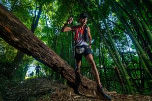 BIB: 2508
                            <button type="button" onclick="openModal(18997933)" class="btn btn-primary btn-sm float-right btn-popup" data-toggle="modal" data-target=".modal-high-quality">
                        <i class="fas fa-shopping-cart"></i> Add to Cart
                    </button>
                                            <button type="button" onclick="isThisMe(18997933, true)" class="btn btn-success btn-sm float-right btn-popup btn-isme hidden" data-toggle="tooltip" data-placement="bottom" title="นี่คือรูปของคุณใช่ไหม คลิกที่นี่เพื่อเอาเข้าอัลบั้ม">
                        <i class="fas fa-plus"></i> Add to album
                    </button>
                    <button type="button" onclick="isThisMe(18997933, false)" class="btn btn-warning btn-sm float-right btn-popup btn-isnotme hidden">
                        <i class="fas fa-ban"></i> Remove from album
                    </button>