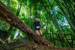 BIB: 
                            <button type="button" onclick="openModal(19061443)" class="btn btn-primary btn-sm float-right btn-popup" data-toggle="modal" data-target=".modal-high-quality">
                        <i class="fas fa-shopping-cart"></i> Add to Cart
                    </button>
                                            <button type="button" onclick="isThisMe(19061443, true)" class="btn btn-success btn-sm float-right btn-popup btn-isme hidden" data-toggle="tooltip" data-placement="bottom" title="นี่คือรูปของคุณใช่ไหม คลิกที่นี่เพื่อเอาเข้าอัลบั้ม">
                        <i class="fas fa-plus"></i> Add to album
                    </button>
                    <button type="button" onclick="isThisMe(19061443, false)" class="btn btn-warning btn-sm float-right btn-popup btn-isnotme hidden">
                        <i class="fas fa-ban"></i> Remove from album
                    </button>