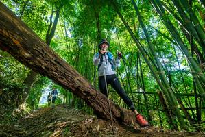 BIB: 
                            <button type="button" onclick="openModal(19070605)" class="btn btn-primary btn-sm float-right btn-popup" data-toggle="modal" data-target=".modal-high-quality">
                        <i class="fas fa-shopping-cart"></i> Add to Cart
                    </button>
                                            <button type="button" onclick="isThisMe(19070605, true)" class="btn btn-success btn-sm float-right btn-popup btn-isme hidden" data-toggle="tooltip" data-placement="bottom" title="นี่คือรูปของคุณใช่ไหม คลิกที่นี่เพื่อเอาเข้าอัลบั้ม">
                        <i class="fas fa-plus"></i> Add to album
                    </button>
                    <button type="button" onclick="isThisMe(19070605, false)" class="btn btn-warning btn-sm float-right btn-popup btn-isnotme hidden">
                        <i class="fas fa-ban"></i> Remove from album
                    </button>