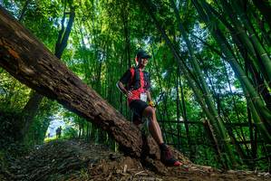 BIB: 
                            <button type="button" onclick="openModal(18999265)" class="btn btn-primary btn-sm float-right btn-popup" data-toggle="modal" data-target=".modal-high-quality">
                        <i class="fas fa-shopping-cart"></i> Add to Cart
                    </button>
                                            <button type="button" onclick="isThisMe(18999265, true)" class="btn btn-success btn-sm float-right btn-popup btn-isme hidden" data-toggle="tooltip" data-placement="bottom" title="นี่คือรูปของคุณใช่ไหม คลิกที่นี่เพื่อเอาเข้าอัลบั้ม">
                        <i class="fas fa-plus"></i> Add to album
                    </button>
                    <button type="button" onclick="isThisMe(18999265, false)" class="btn btn-warning btn-sm float-right btn-popup btn-isnotme hidden">
                        <i class="fas fa-ban"></i> Remove from album
                    </button>