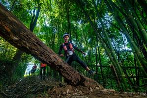 BIB: 
                            <button type="button" onclick="openModal(18998394)" class="btn btn-primary btn-sm float-right btn-popup" data-toggle="modal" data-target=".modal-high-quality">
                        <i class="fas fa-shopping-cart"></i> Add to Cart
                    </button>
                                            <button type="button" onclick="isThisMe(18998394, true)" class="btn btn-success btn-sm float-right btn-popup btn-isme hidden" data-toggle="tooltip" data-placement="bottom" title="นี่คือรูปของคุณใช่ไหม คลิกที่นี่เพื่อเอาเข้าอัลบั้ม">
                        <i class="fas fa-plus"></i> Add to album
                    </button>
                    <button type="button" onclick="isThisMe(18998394, false)" class="btn btn-warning btn-sm float-right btn-popup btn-isnotme hidden">
                        <i class="fas fa-ban"></i> Remove from album
                    </button>