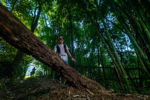 BIB: 
                            <button type="button" onclick="openModal(18991356)" class="btn btn-primary btn-sm float-right btn-popup" data-toggle="modal" data-target=".modal-high-quality">
                        <i class="fas fa-shopping-cart"></i> Add to Cart
                    </button>
                                            <button type="button" onclick="isThisMe(18991356, true)" class="btn btn-success btn-sm float-right btn-popup btn-isme hidden" data-toggle="tooltip" data-placement="bottom" title="นี่คือรูปของคุณใช่ไหม คลิกที่นี่เพื่อเอาเข้าอัลบั้ม">
                        <i class="fas fa-plus"></i> Add to album
                    </button>
                    <button type="button" onclick="isThisMe(18991356, false)" class="btn btn-warning btn-sm float-right btn-popup btn-isnotme hidden">
                        <i class="fas fa-ban"></i> Remove from album
                    </button>